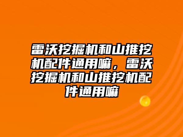 雷沃挖掘機和山推挖機配件通用嘛，雷沃挖掘機和山推挖機配件通用嘛