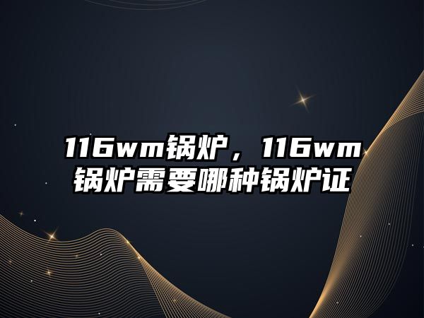 116wm鍋爐，116wm鍋爐需要哪種鍋爐證