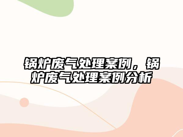 鍋爐廢氣處理案例，鍋爐廢氣處理案例分析