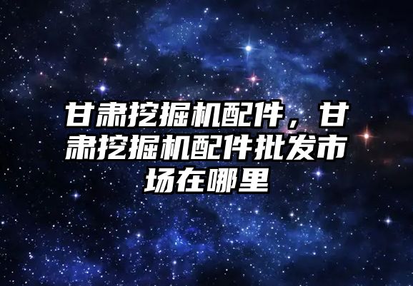 甘肅挖掘機配件，甘肅挖掘機配件批發(fā)市場在哪里