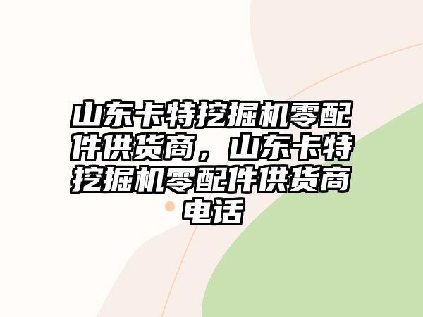 山東卡特挖掘機零配件供貨商，山東卡特挖掘機零配件供貨商電話