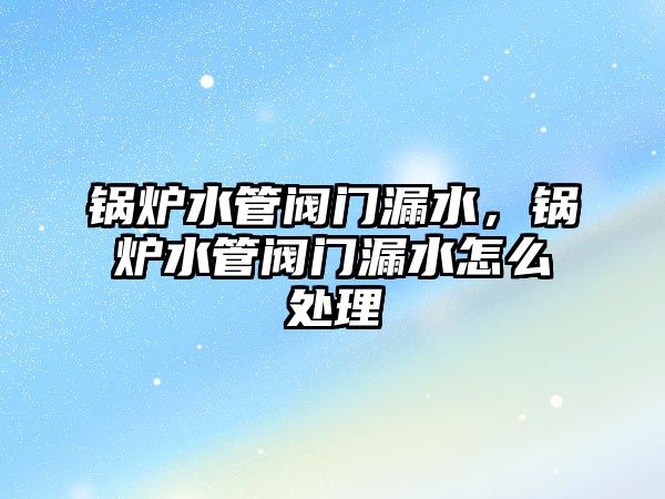 鍋爐水管閥門漏水，鍋爐水管閥門漏水怎么處理