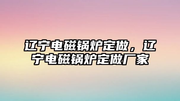 遼寧電磁鍋爐定做，遼寧電磁鍋爐定做廠家