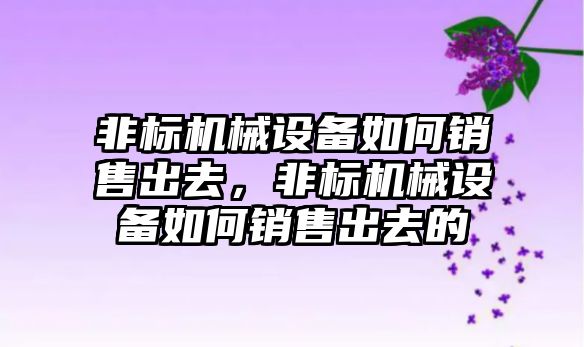 非標機械設備如何銷售出去，非標機械設備如何銷售出去的