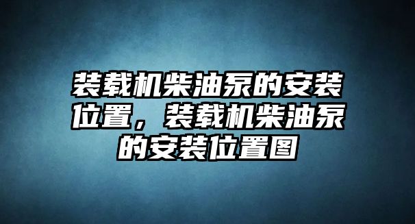 裝載機柴油泵的安裝位置，裝載機柴油泵的安裝位置圖