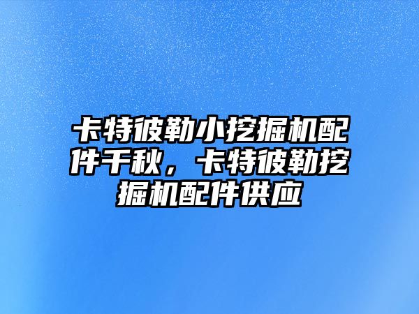 卡特彼勒小挖掘機配件千秋，卡特彼勒挖掘機配件供應