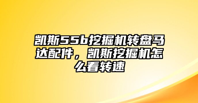 凱斯55b挖掘機轉(zhuǎn)盤馬達配件，凱斯挖掘機怎么看轉(zhuǎn)速