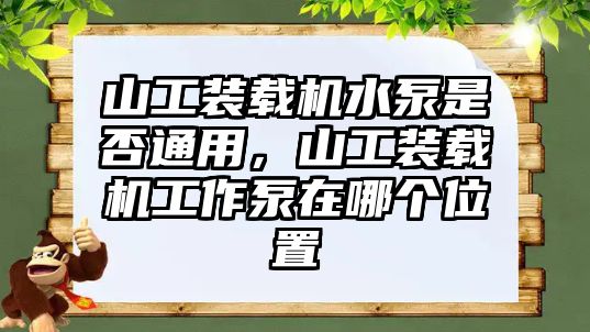 山工裝載機(jī)水泵是否通用，山工裝載機(jī)工作泵在哪個(gè)位置