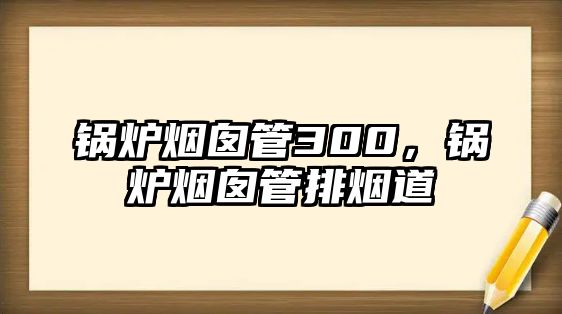 鍋爐煙囪管300，鍋爐煙囪管排煙道