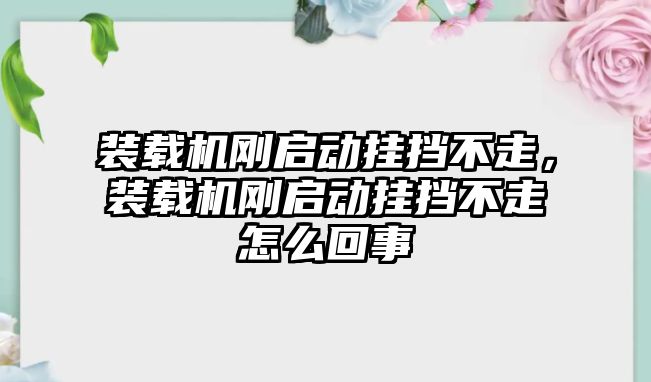 裝載機剛啟動掛擋不走，裝載機剛啟動掛擋不走怎么回事