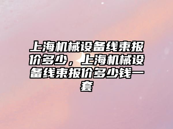 上海機械設(shè)備線束報價多少，上海機械設(shè)備線束報價多少錢一套