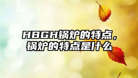 HBGH鍋爐的特點(diǎn)，鍋爐的特點(diǎn)是什么