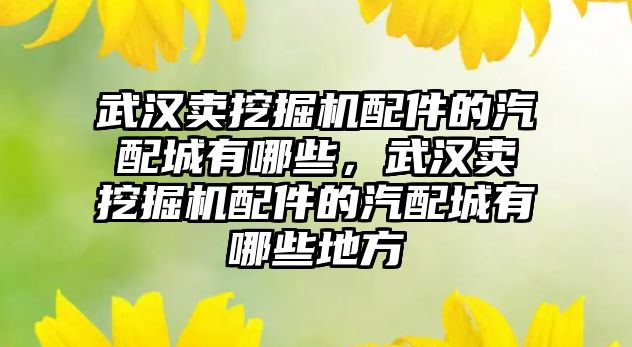 武漢賣挖掘機配件的汽配城有哪些，武漢賣挖掘機配件的汽配城有哪些地方