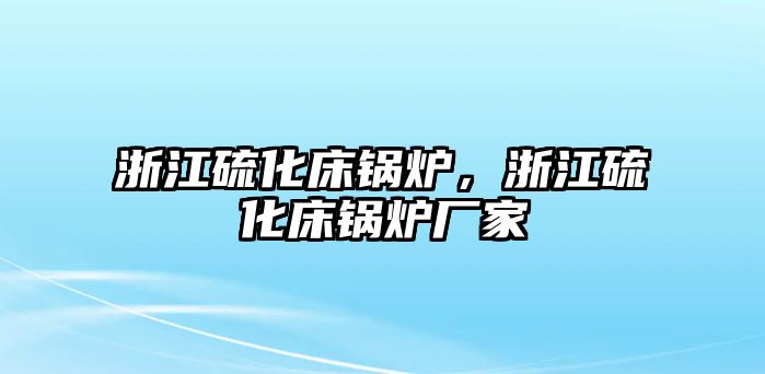 浙江硫化床鍋爐，浙江硫化床鍋爐廠家