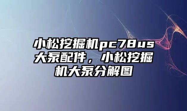 小松挖掘機(jī)pc78us大泵配件，小松挖掘機(jī)大泵分解圖