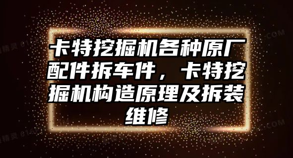 卡特挖掘機(jī)各種原廠配件拆車件，卡特挖掘機(jī)構(gòu)造原理及拆裝維修