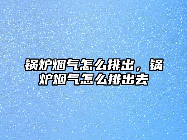 鍋爐煙氣怎么排出，鍋爐煙氣怎么排出去