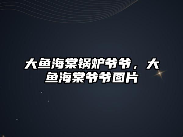 大魚(yú)海棠鍋爐爺爺，大魚(yú)海棠爺爺圖片