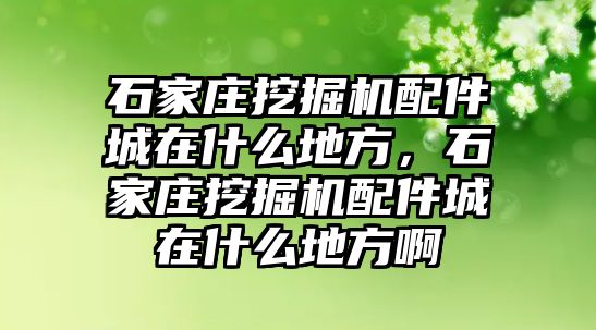 石家莊挖掘機(jī)配件城在什么地方，石家莊挖掘機(jī)配件城在什么地方啊