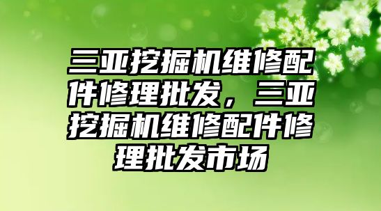 三亞挖掘機維修配件修理批發(fā)，三亞挖掘機維修配件修理批發(fā)市場