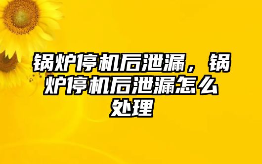 鍋爐停機后泄漏，鍋爐停機后泄漏怎么處理