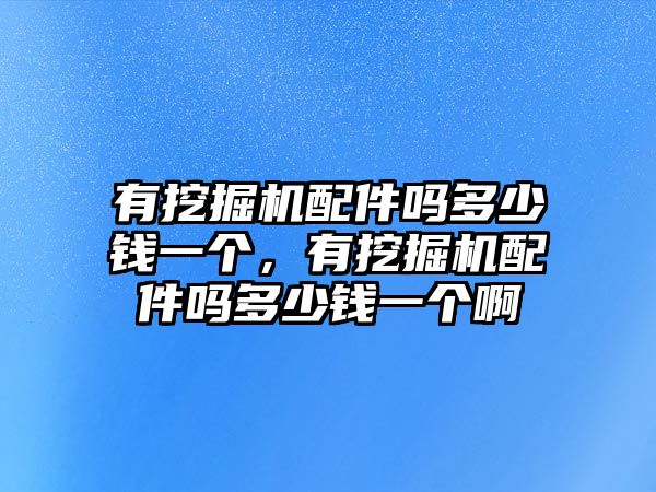 有挖掘機配件嗎多少錢一個，有挖掘機配件嗎多少錢一個啊