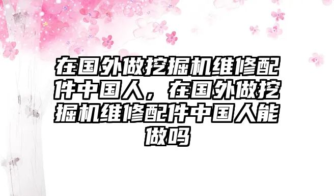 在國外做挖掘機維修配件中國人，在國外做挖掘機維修配件中國人能做嗎