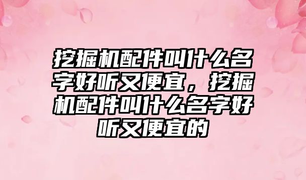 挖掘機配件叫什么名字好聽又便宜，挖掘機配件叫什么名字好聽又便宜的