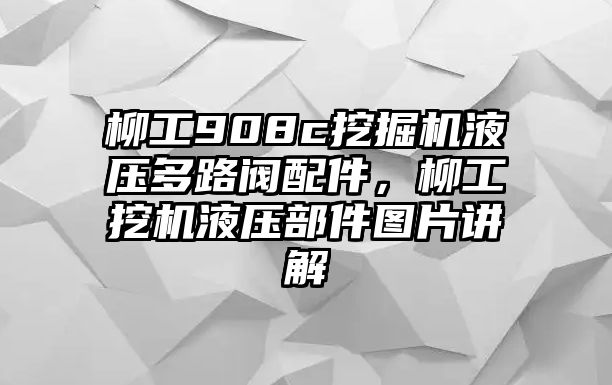 柳工908c挖掘機(jī)液壓多路閥配件，柳工挖機(jī)液壓部件圖片講解