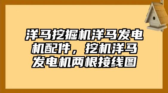 洋馬挖掘機(jī)洋馬發(fā)電機(jī)配件，挖機(jī)洋馬發(fā)電機(jī)兩根接線圖