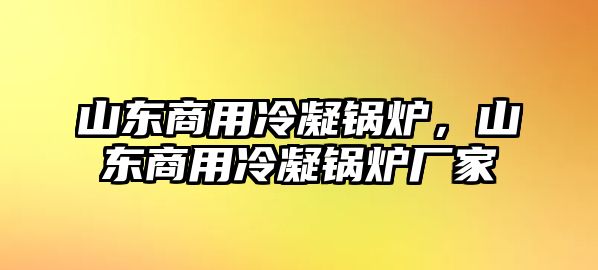 山東商用冷凝鍋爐，山東商用冷凝鍋爐廠家