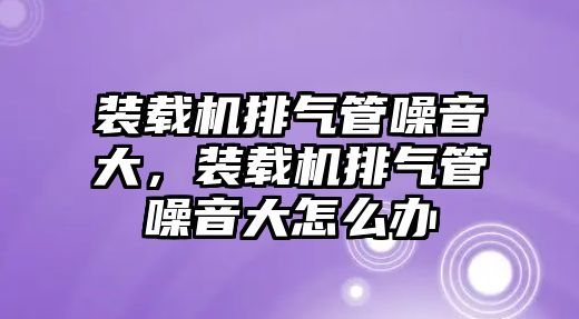 裝載機排氣管噪音大，裝載機排氣管噪音大怎么辦