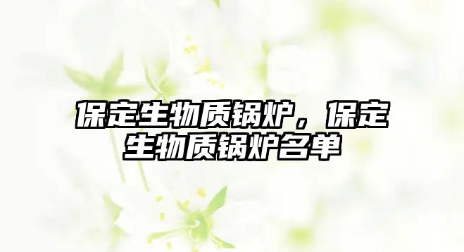 保定生物質(zhì)鍋爐，保定生物質(zhì)鍋爐名單