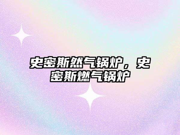 史密斯然氣鍋爐，史密斯燃?xì)忮仩t