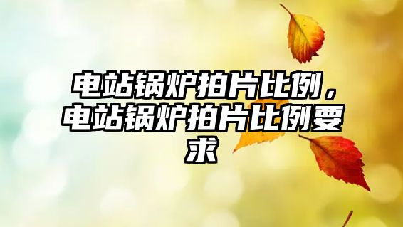 電站鍋爐拍片比例，電站鍋爐拍片比例要求