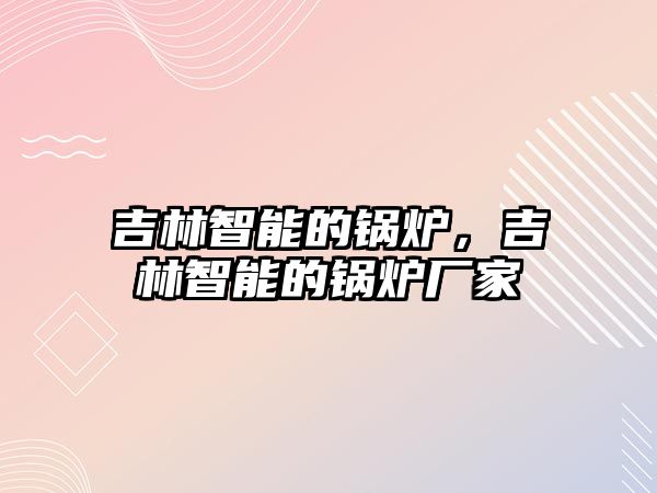 吉林智能的鍋爐，吉林智能的鍋爐廠家