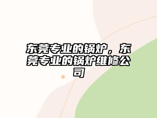 東莞專業(yè)的鍋爐，東莞專業(yè)的鍋爐維修公司