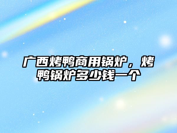 廣西烤鴨商用鍋爐，烤鴨鍋爐多少錢一個(gè)