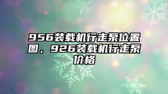 956裝載機行走泵位置圖，926裝載機行走泵價格