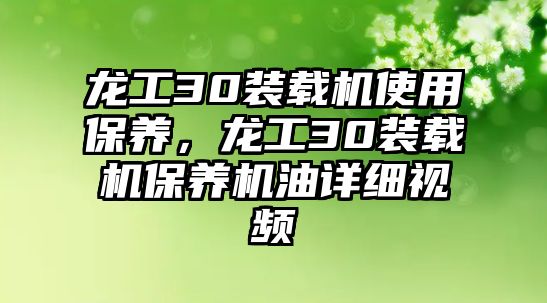 龍工30裝載機使用保養(yǎng)，龍工30裝載機保養(yǎng)機油詳細視頻