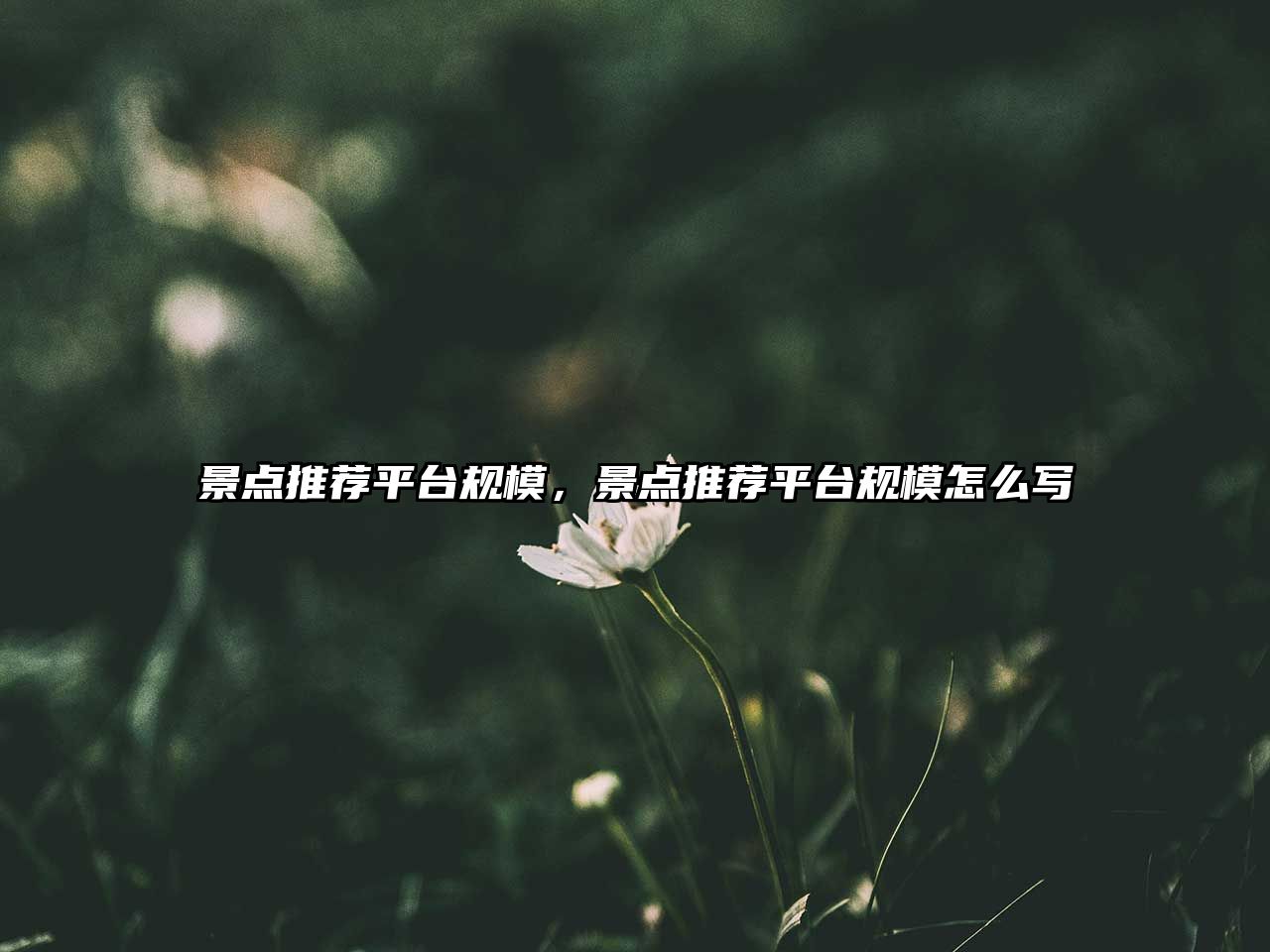 景點推薦平臺規(guī)模，景點推薦平臺規(guī)模怎么寫