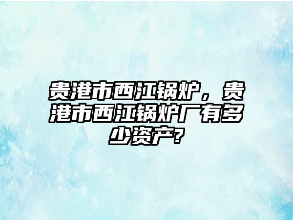 貴港市西江鍋爐，貴港市西江鍋爐廠有多少資產(chǎn)?