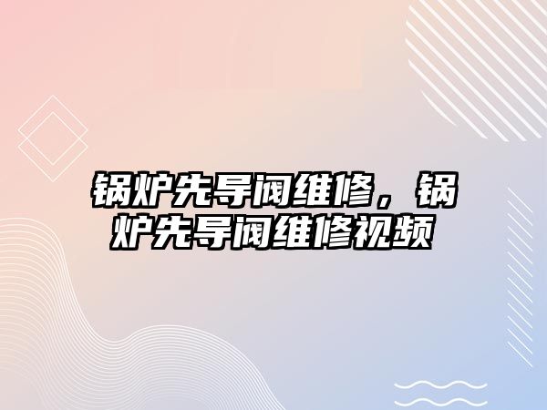 鍋爐先導(dǎo)閥維修，鍋爐先導(dǎo)閥維修視頻