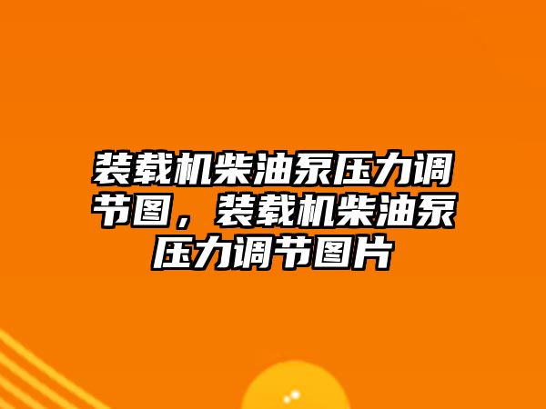 裝載機柴油泵壓力調節(jié)圖，裝載機柴油泵壓力調節(jié)圖片