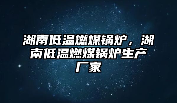 湖南低溫燃煤鍋爐，湖南低溫燃煤鍋爐生產(chǎn)廠家