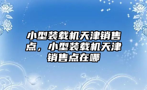 小型裝載機(jī)天津銷售點，小型裝載機(jī)天津銷售點在哪